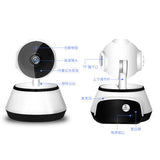 SmartEye Indoor Monitoring Camera view 2