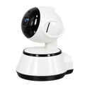 SmartEye Indoor Monitoring Camera